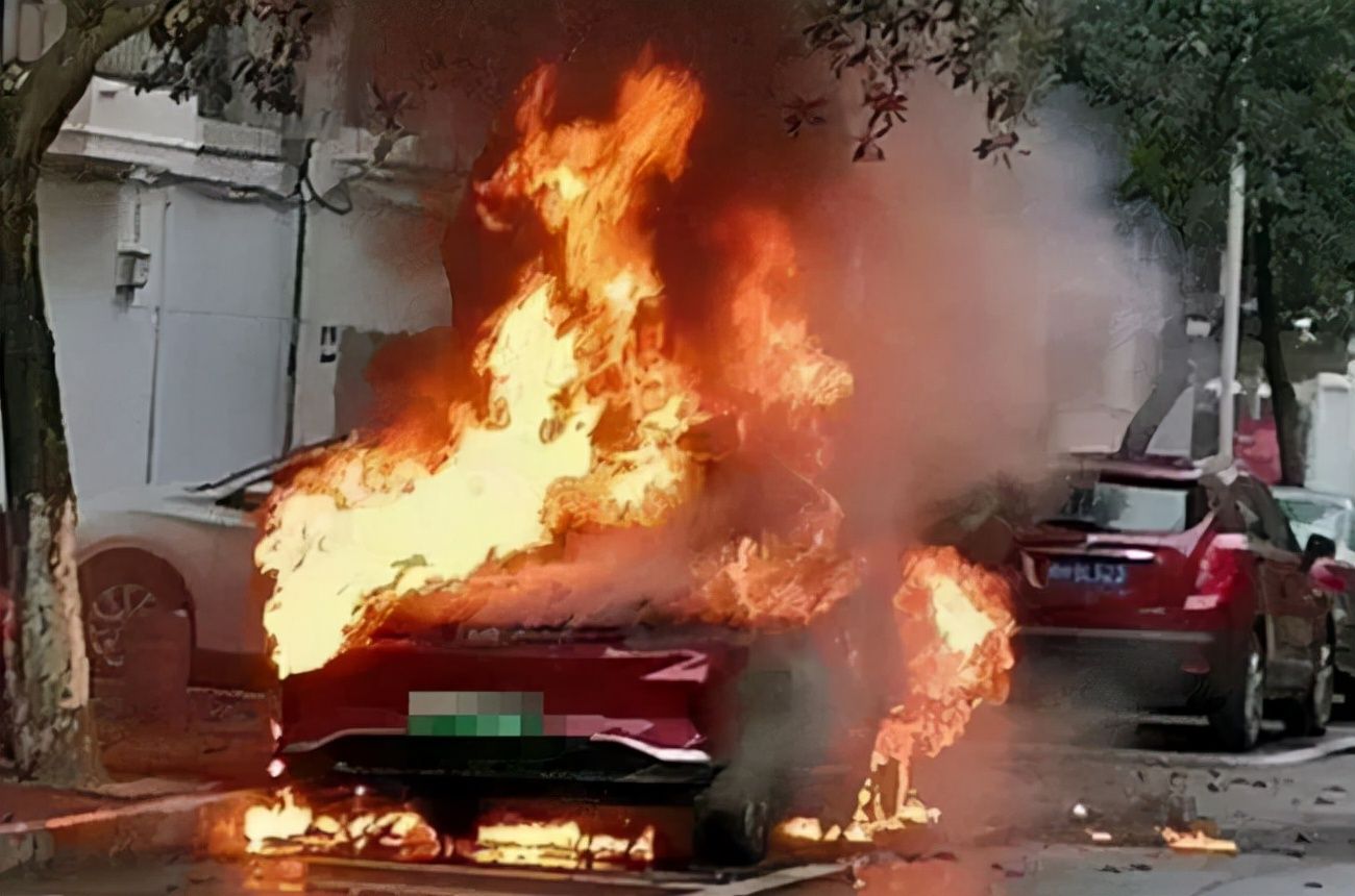 3天内“两连烧”！海南某品牌电动汽车当街自燃 1年半内烧了6辆  第4张
