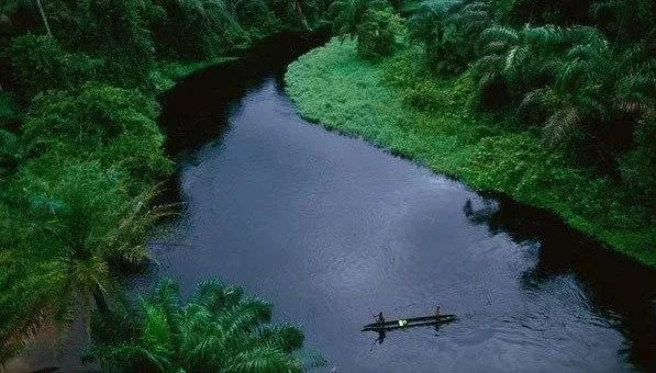 最长的河流是哪一条 世界上最长的河流是哪一条  第1张